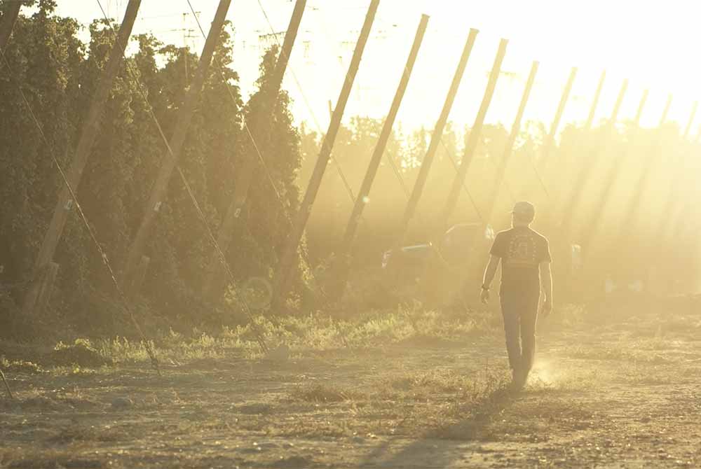 firestone walker brewing compnay matt brynildson hop harvest film