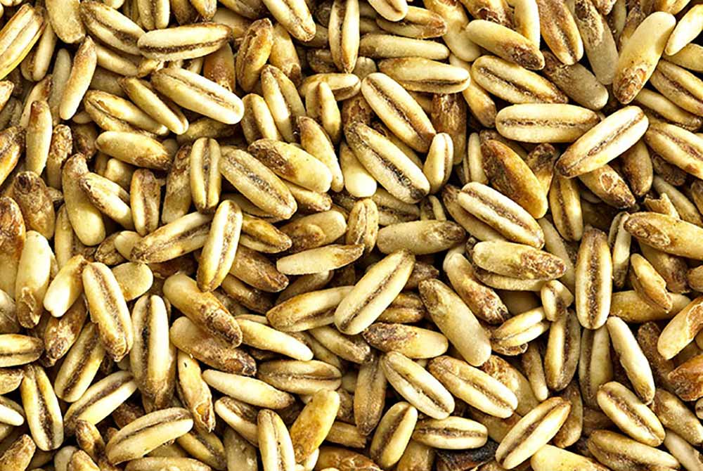 simpsons golden naked oats 