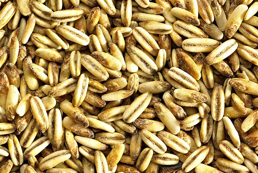 simpsons golden naked oats