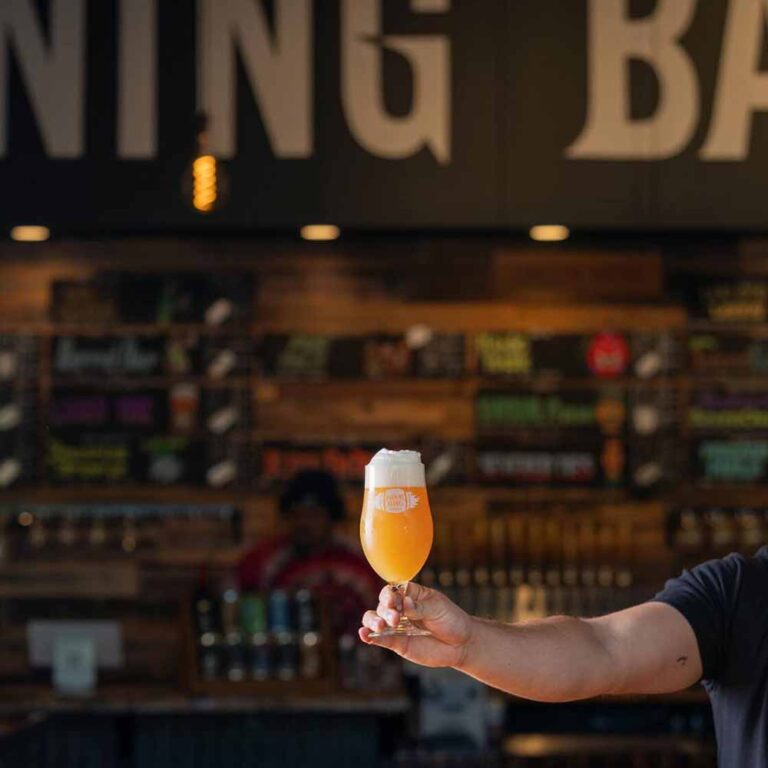 Burning Barrel Brewing Crazy Sours, AwardWinning Lagers, World's