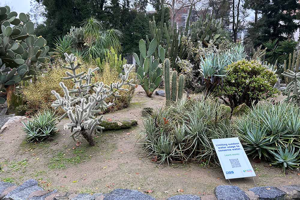 cacti garden california state capitol park