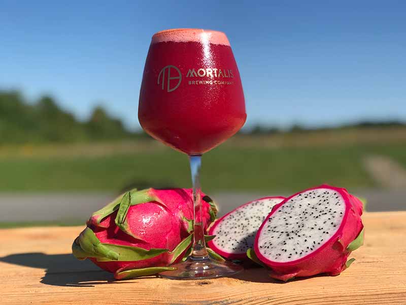 mortalis brewing company medusa passion fruit dragon fruit smoothie sour