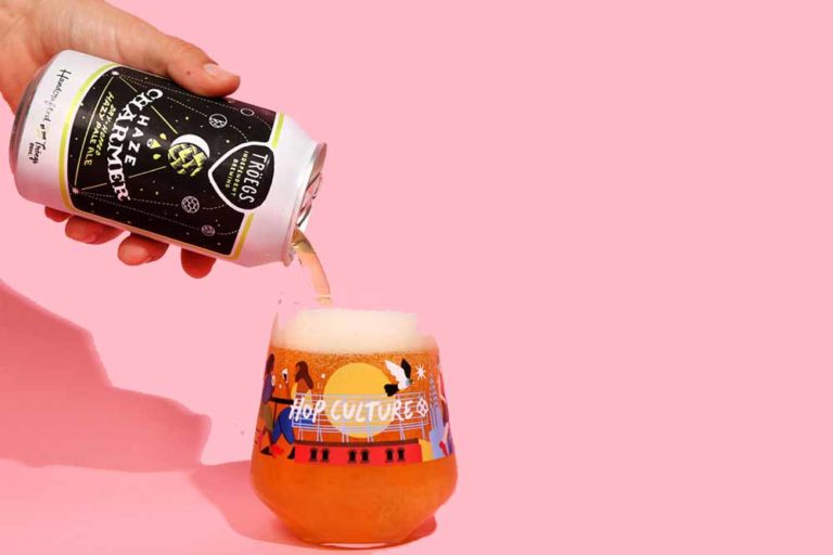 The 13 Best American Pale Ales Available in Most Stores Right Now • Hop Culture