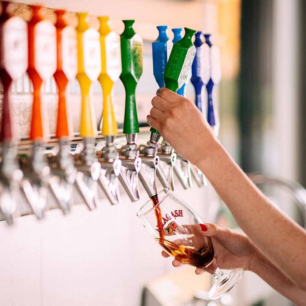 allagash brewing rainbow tap handles