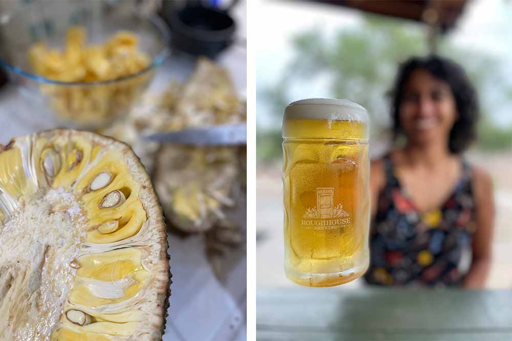 roughhouse brewing subcontinental jackfruit lager