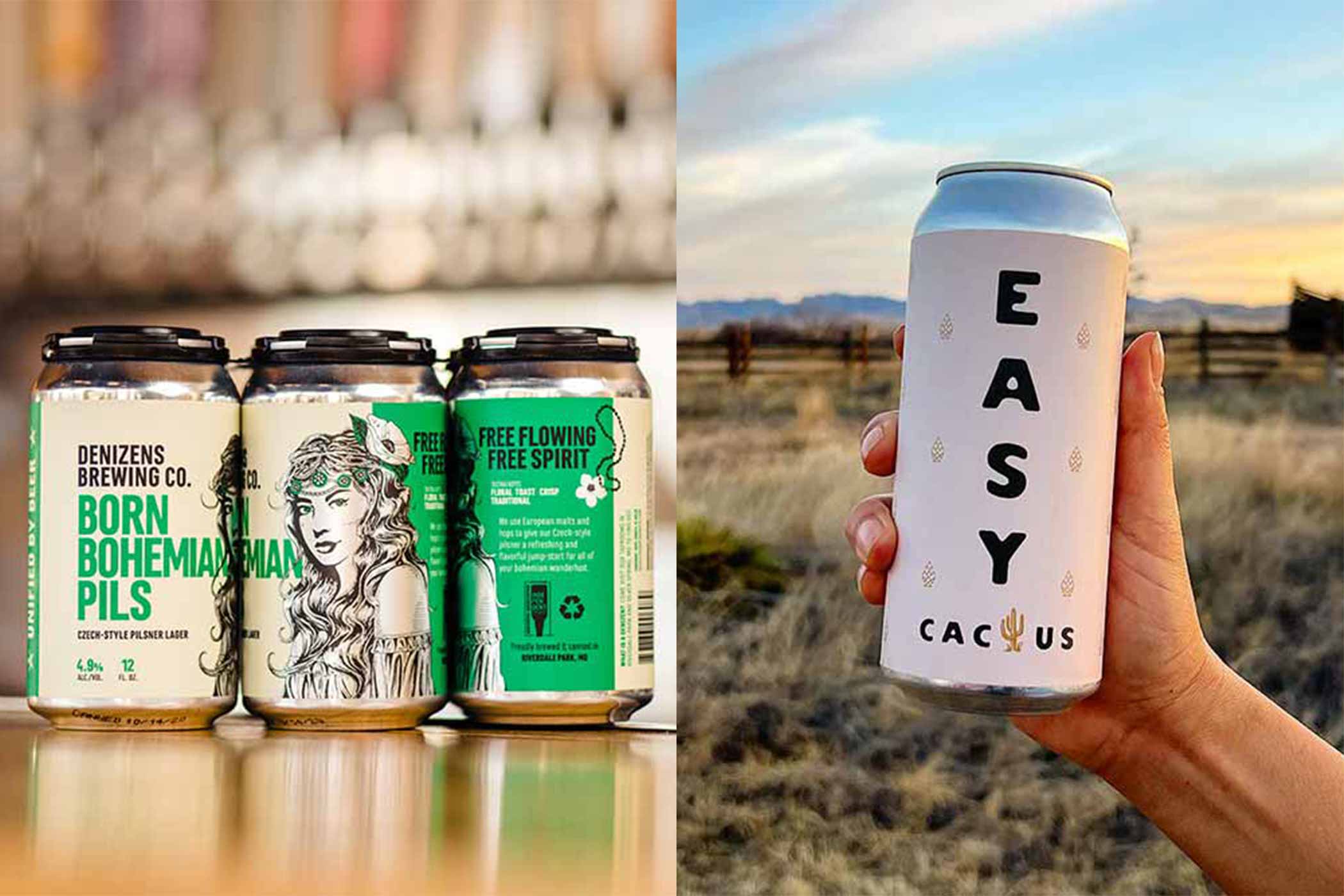 The Top 10 Beers We Drank in June