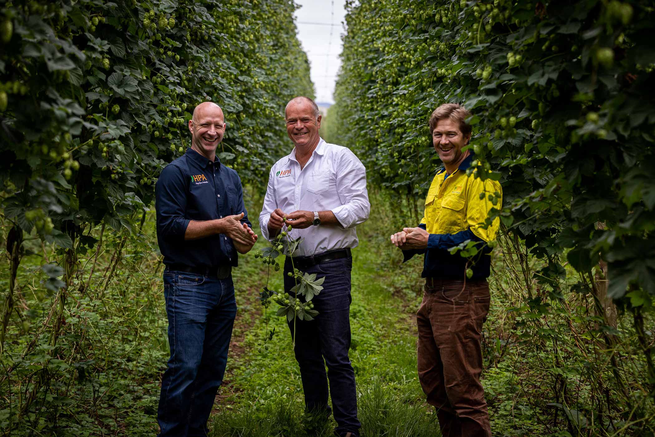 Top 3 Awesome Australian Hops: Discover the Hops Reshaping Craft Beer
