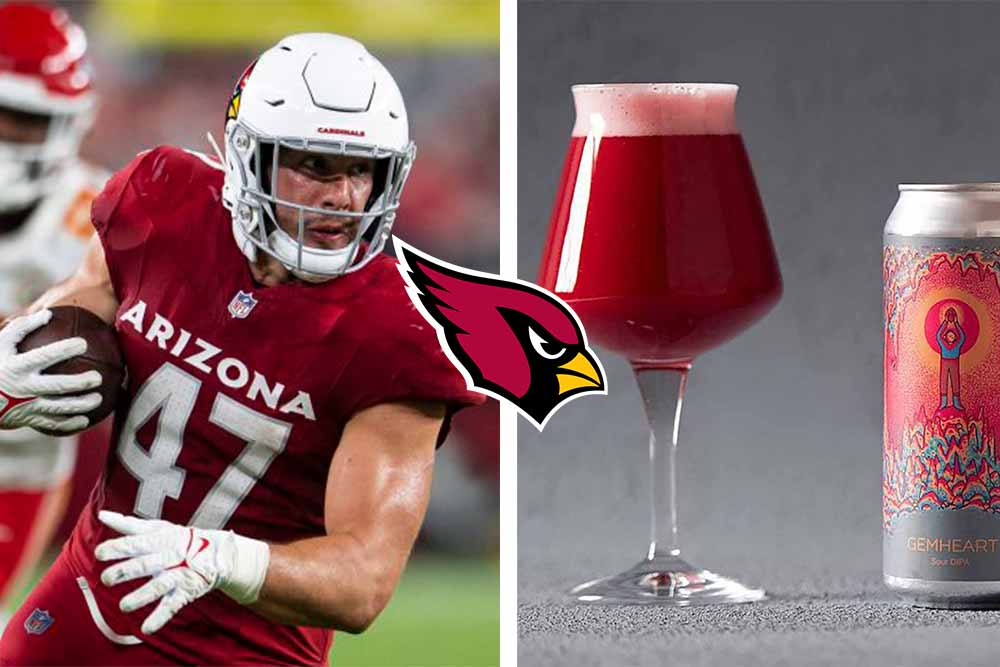 arizona cardinals x hudson valley brewery sour ipa