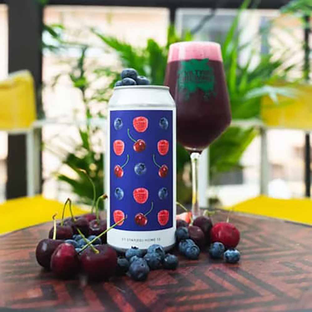 evil twin nyc et stayed home 12 - raspberry, blueberry, blackberry, sweet cherry, sour cherry fruited sour