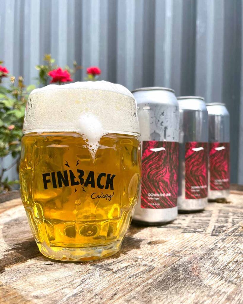 finback brewery crispy tubinger czech dimpled mug