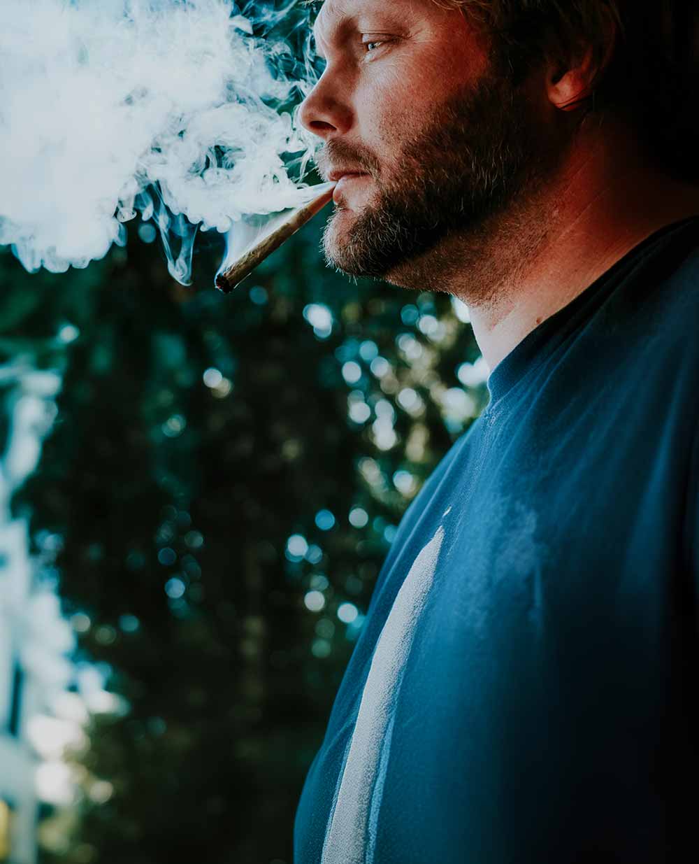 Your High, Your Life: Meet Mood, the Dispensary That Gets You • Hop Culture